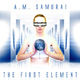 A.M. Samurai - The First Element